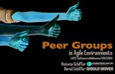 Peer Groups in Agile Environments