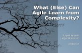 What (Else) Can Agile Learn From Complexity