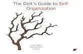 Jurgen Appelo - The dolt's guide to self-organization @ AgileIL11