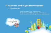 IT Success with Agile Development