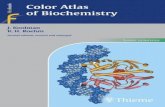 14. color atlas of biochemistry, 2 nd ed (j koolman, k  h roehm)(thieme,2005) -  -  - pretty good