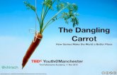 TEDx Youth @ Manchester: The Dangling Carrot