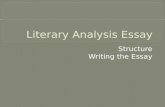 Literary analysis essay - writing it