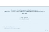 Research Data Management for Researchers: Module 1: Intro to Data, Metadata and the Research Data Lifecycle
