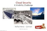 Cloud Security - A Visibility Challenge