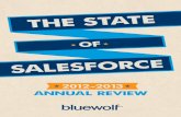 Bluewolf | The State of Salesforce 2012