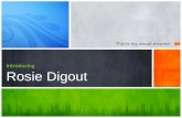 Rosie Digout Visual Resume 2012