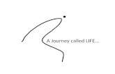 a Journey called LIFE...