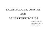 Sales budget, quotas and sales territories