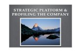 Strategic Platform 2008