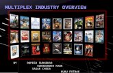 Multiplex industry overview