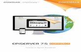 EPiServer 7.5 Commerce