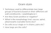 Gram staining, Culture , Antimicrobial sensitivity test