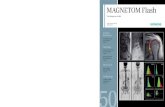 Magnetom Flash 50 - Revista MRI