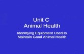 Maintain Good Animal Health