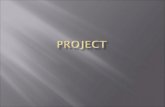 Project and projectmanagement