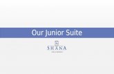 Our Junior Suite