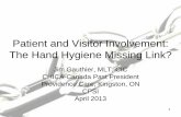 Webinar 2 - Patient and Visitor Involvement: The Hand Hygiene Missing Link?