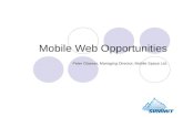 Mobile Web Opportunities