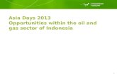 Business opportunities in Indonesia within oil and gas