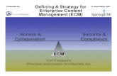 ECM Strategy Development
