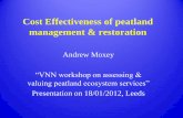 Towards a framework for peatland PES