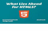 What lies ahead of HTML5_Ooop Munich 2013_Krzysztof Szafranek