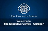 The Executive Centre Gurgaon - " Premium Office Space Solutions"