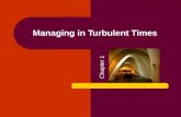Chapter 1 management in turbulent times