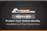 Big rock protect your online identity