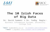 The 10 Irish Faces of Big Data