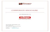 Octagon profile uchumi.doc