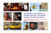 Building Innovation in Public Sector: Possible Areas of Intervention
