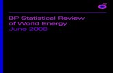 BP Statistical Review of World Energy 2007