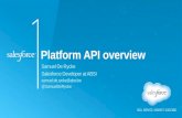 Salesforce1 API Overview