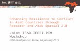 IFAD-IFPRI-PIM Workshop on Enhancing Resilience to Conflict in Arab Countries through Research and Arab Spatial 2.0