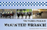 Role of the Victorian Police - Mounted Branch
