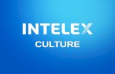 Intelex Corporate Culture