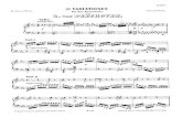 Beethoven 32 Variations - c Minor