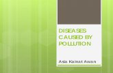 Diseases Caused by Pollution