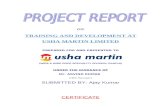 Usha Martin Final Project