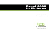 Excel 2003 in Pictures