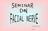 Facial Nerve 1