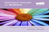 Sensory Issues in Autism