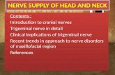 Nerve Supply of Head and Neck