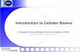 Cellular Beams