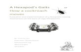 A Hexapod's Gaits - How a cockroach moves