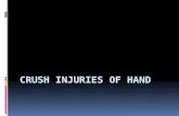 Crush Injuries of Hand