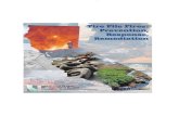 GEN-067-Tire Pile Fires-Prevention, Response, Remediation