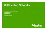 Schneider Electric - Self Healing Grids
